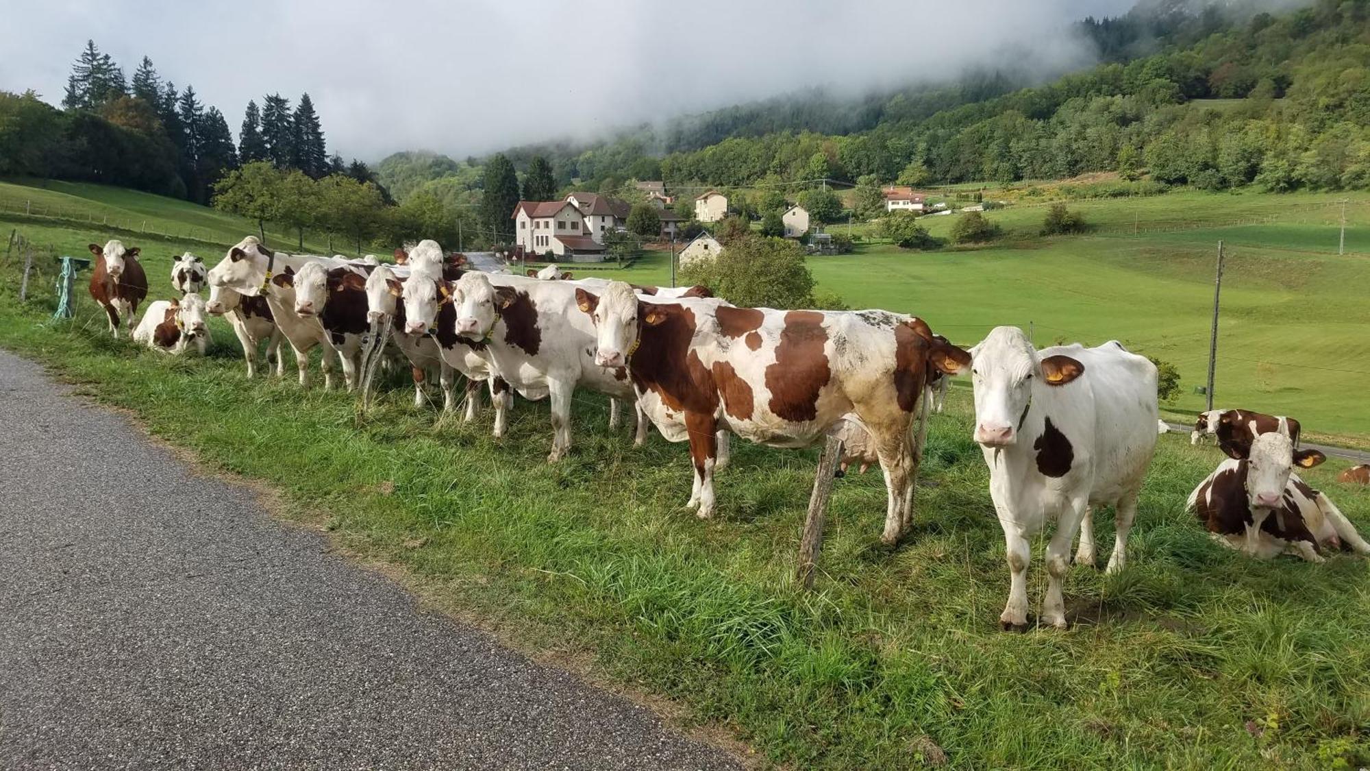 Un Pied Devant L'Autre Sainte-Marie-D'Alvey Екстер'єр фото